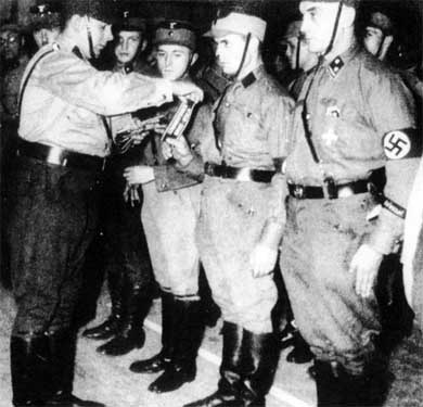 Иллюстрация к книге — Штурмовые отряды (СА) Гитлера 1921-1945 [i_052.jpg]