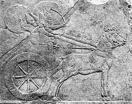 Иллюстрация к книге — Луки и арбалеты в бою [_003.jpg]