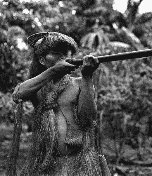 Иллюстрация к книге — Луки и арбалеты в бою [_117.jpg]