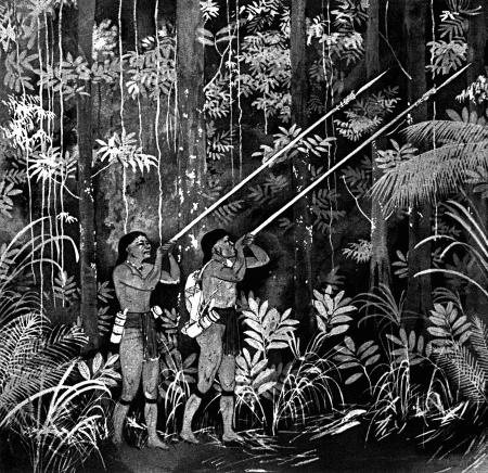 Иллюстрация к книге — Луки и арбалеты в бою [_118.jpg]