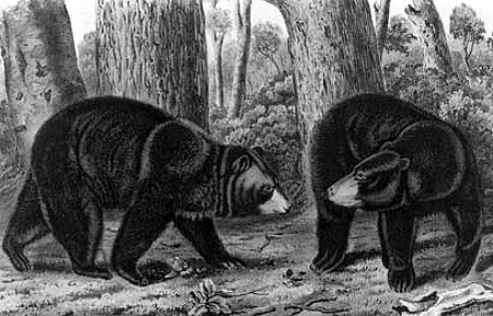 Иллюстрация к книге — Энциклопедия символов, знаков, эмблем [i_164.jpg]