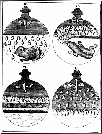 Иллюстрация к книге — Энциклопедия символов, знаков, эмблем [i_437.jpg]