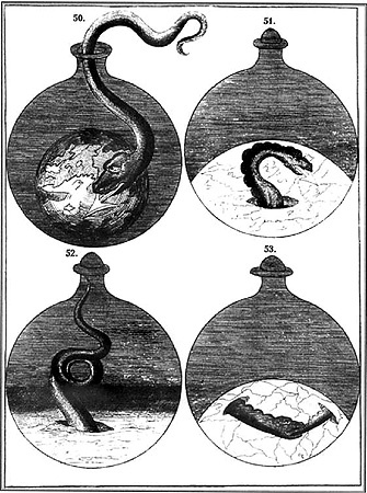 Иллюстрация к книге — Энциклопедия символов, знаков, эмблем [i_441.jpg]