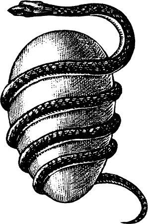 Иллюстрация к книге — Энциклопедия символов, знаков, эмблем [i_450.jpg]