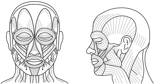 Иллюстрация к книге — Как рождаются эмоции. Революция в понимании мозга и управлении эмоциями [i_001.jpg]