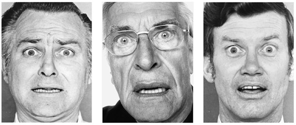 Иллюстрация к книге — Как рождаются эмоции. Революция в понимании мозга и управлении эмоциями [i_006.jpg]