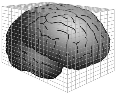 Иллюстрация к книге — Как рождаются эмоции. Революция в понимании мозга и управлении эмоциями [i_007.jpg]