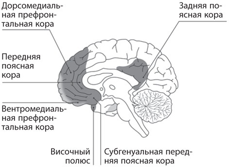 Иллюстрация к книге — Как рождаются эмоции. Революция в понимании мозга и управлении эмоциями [i_039.jpg]