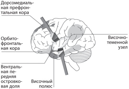 Иллюстрация к книге — Как рождаются эмоции. Революция в понимании мозга и управлении эмоциями [i_040.jpg]
