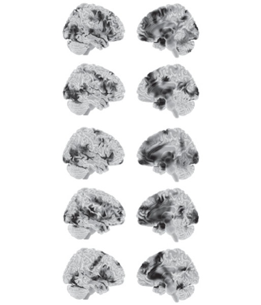 Иллюстрация к книге — Как рождаются эмоции. Революция в понимании мозга и управлении эмоциями [i_041.jpg]