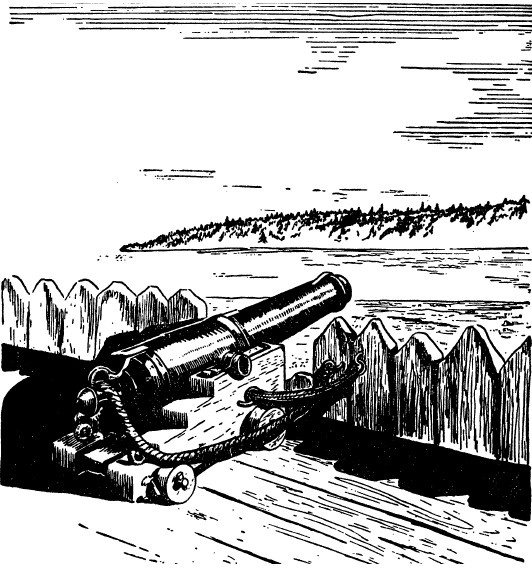 Иллюстрация к книге — Ружья, мушкеты и пистолеты Нового Света. Огнестрельное оружие XVII-XIX веков [i_080.jpg]