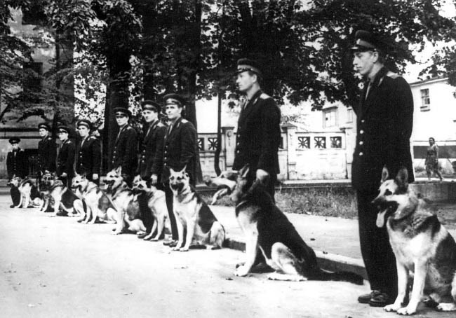 Иллюстрация к книге — Уголовный розыск. Петроград - Ленинград - Петербург [img_id053.jpg]