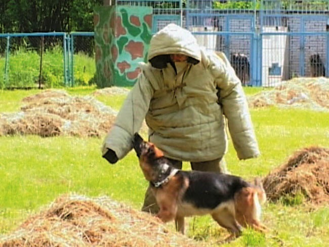 Иллюстрация к книге — Уголовный розыск. Петроград - Ленинград - Петербург [img_id082.jpg]