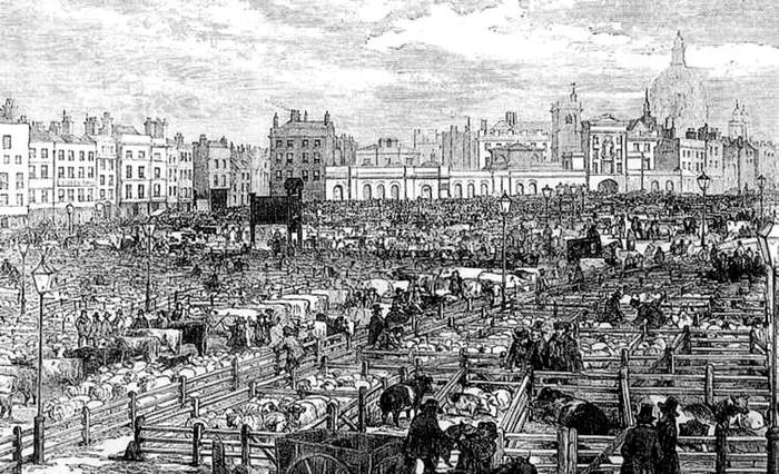 Иллюстрация к книге — Викторианский Лондон. Жизнь города [i_025.jpg]