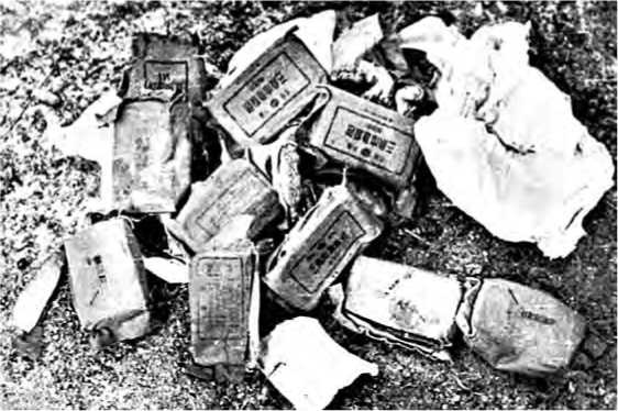 Иллюстрация к книге — Советско-китайские войны. Пограничники против маоистов Уцененный товар (№1) [i_026.jpg]