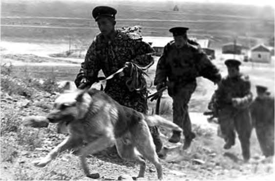 Иллюстрация к книге — Советско-китайские войны. Пограничники против маоистов Уцененный товар (№1) [i_038.jpg]