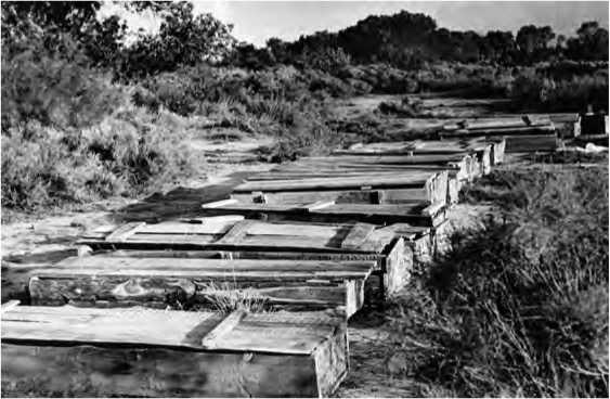 Иллюстрация к книге — Советско-китайские войны. Пограничники против маоистов Уцененный товар (№1) [i_055.jpg]