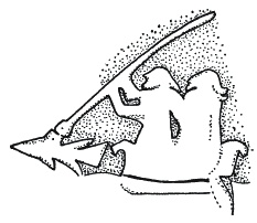 Иллюстрация к книге — Викинги. Быт, религия, культура [_052.jpg]