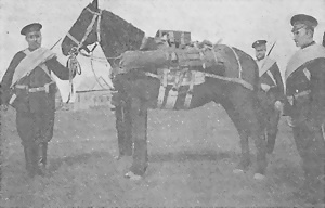 Иллюстрация к книге — Пулеметы России. Шквальный огонь [i_044.jpg]