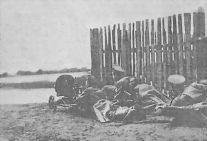 Иллюстрация к книге — Пулеметы России. Шквальный огонь [i_047.jpg]