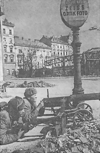 Иллюстрация к книге — Пулеметы России. Шквальный огонь [i_108.jpg]