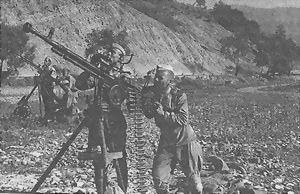 Иллюстрация к книге — Пулеметы России. Шквальный огонь [i_117.jpg]