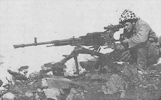 Иллюстрация к книге — Пулеметы России. Шквальный огонь [i_168.jpg]