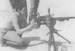 Иллюстрация к книге — Пулеметы России. Шквальный огонь [i_236.jpg]