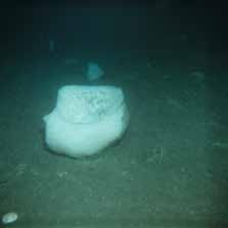 Иллюстрация к книге — Погружение разрешаю [_069.jpg]