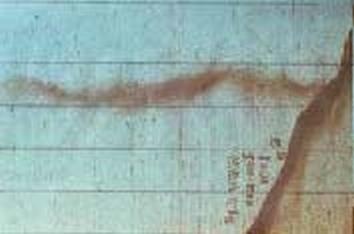 Иллюстрация к книге — Погружение разрешаю [_211_2.jpg]