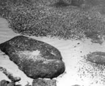 Иллюстрация к книге — Погружение разрешаю [_214.jpg]