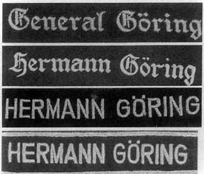 Иллюстрация к книге — Дивизия "Герман Геринг" [i_026.jpg]