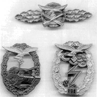 Иллюстрация к книге — Дивизия "Герман Геринг" [i_059.jpg]