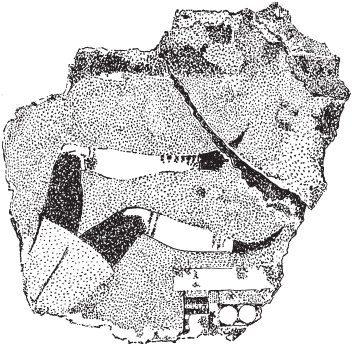 Иллюстрация к книге — Микенцы. Подданные царя Миноса [_39.jpg]