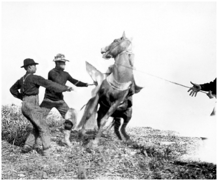 Иллюстрация к книге — Фредерик Кук на вершине континента. Возвращаем Мак-Кинли великому американцу [i_015.jpg]