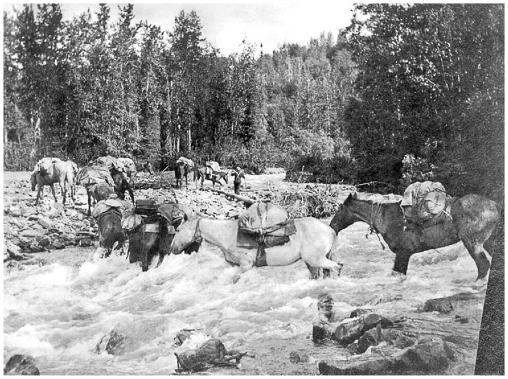 Иллюстрация к книге — Фредерик Кук на вершине континента. Возвращаем Мак-Кинли великому американцу [i_026.jpg]