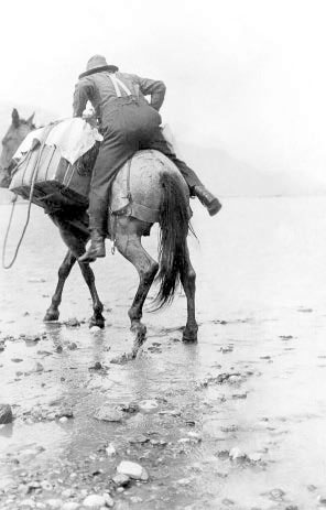 Иллюстрация к книге — Фредерик Кук на вершине континента. Возвращаем Мак-Кинли великому американцу [i_027.jpg]