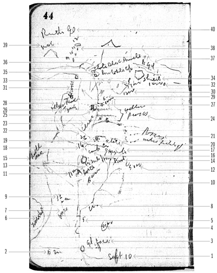 Иллюстрация к книге — Фредерик Кук на вершине континента. Возвращаем Мак-Кинли великому американцу [i_081.jpg]