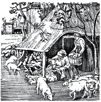 Иллюстрация к книге — Эпоха Возрождения. Быт, религия, культура [_106.jpg]