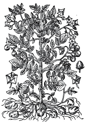 Иллюстрация к книге — Эпоха Возрождения. Быт, религия, культура [_119.jpg]