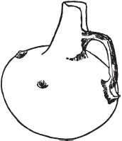 Иллюстрация к книге — Арийцы. Основатели европейской цивилизации [_04.jpg]