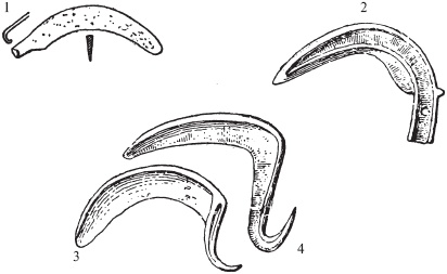 Иллюстрация к книге — Арийцы. Основатели европейской цивилизации [_16.jpg]