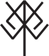 Иллюстрация к книге — Руны. Теория и практика работы с древними силами [i_052.jpg]