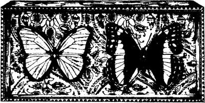 Иллюстрация к книге — Ангелы и насекомые [i_003.jpg]