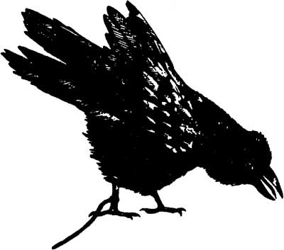 Иллюстрация к книге — Ангелы и насекомые [i_009.jpg]