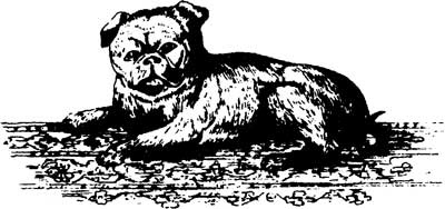 Иллюстрация к книге — Ангелы и насекомые [i_014.jpg]