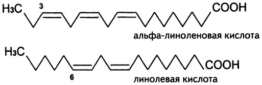Иллюстрация к книге — Живое лекарство. Метод оздоровления организма с помощью проростков [i_007.jpg]