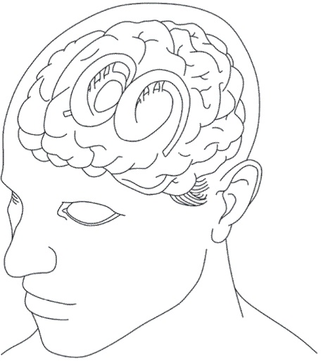 Иллюстрация к книге — Мозг всемогущий. Путеводитель по самому незаменимому органу нашего тела [i_010.jpg]