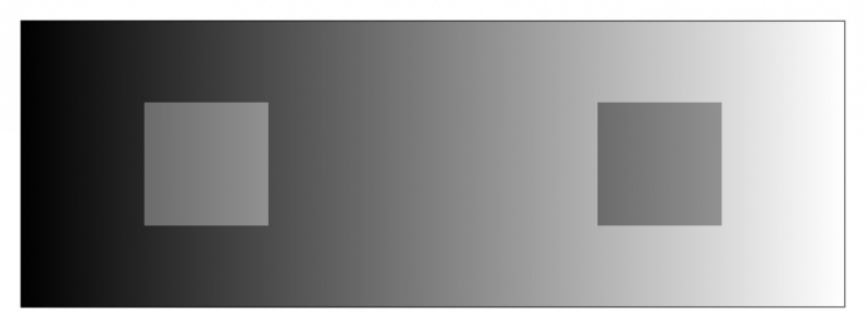 Иллюстрация к книге — Мозг всемогущий. Путеводитель по самому незаменимому органу нашего тела [i_023.jpg]