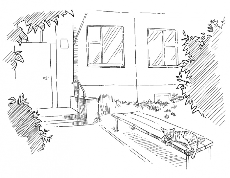 Иллюстрация к книге — Роковой подарок жениха [i_005.jpg]